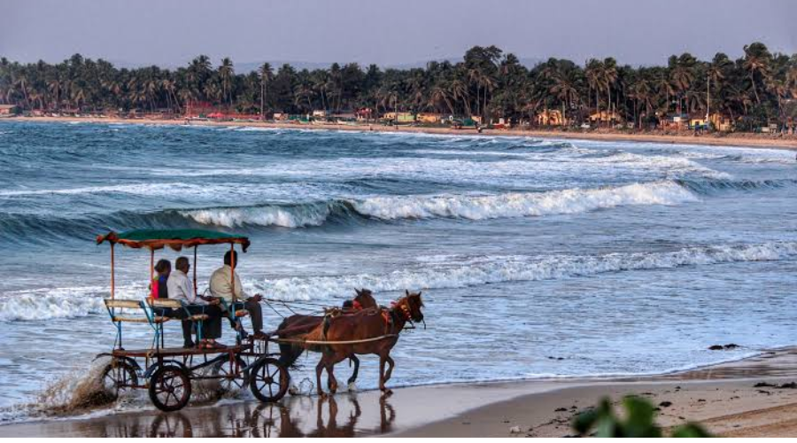 Showing  Malvan, Maharashtra